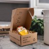 Guude Water Colour Changing Egg Timer, Fun Egg Timer