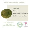 Shampoo Sólido Orgánico Cabello Graso