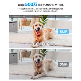 Pet Camera, Security Camera, Indoor Surveillance Camera, 360° PTZ Function, Automatic Tracking, 5 Megapixels, Surveillance Camera, Two-way Audio, Indoor, Infrared Night Vision, 24 Hour Recording,