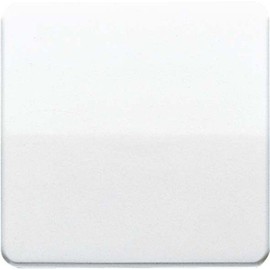 Jung Bfww Rocker for Switch/Pushbutton