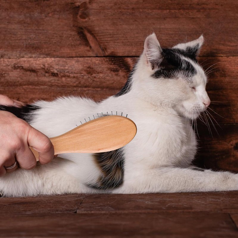 Small Wig Hair Brush with Steel Bristles Portable Mini Pin