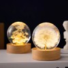 DESHINTKE Dandelion Glowing Crystal Ball Eternal Flower Paperweight