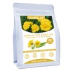 TEARELAE - Dandelion Leaf & Root Tea - Premium Dandelion