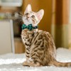 YBEATY 3 Pcs Cat Collar with Bell Breakaway Cat Collars