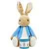 Rainbow Designs Bedtime Cuddles with Peter Rabbit - Classic Character