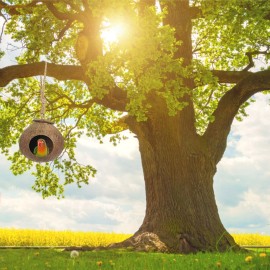 kathson Natural Coconut Shell Bird Nest,Hanging Coco Birds House,Parrots Hide...