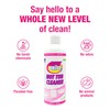Quick N Brite Heavy Duty Hot Tub Cleaner Kit -