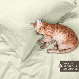 BIOWEAVES 100% Organic Cotton Percale Weave Sheets Twin – Crisp, Soft & Naturally Cooling, 300 Thread Count GOTS Certified Twin Sheets Set with 17” Deep Pocket – 3 Piece Set, Ivory