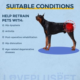 LISPOO Breathable Dog Hip Support Brace for Large Dogs, Adjustable Canine Orthopedic Brace for Hip Dysplasia, Perfect for Supporting Dobermans(L)