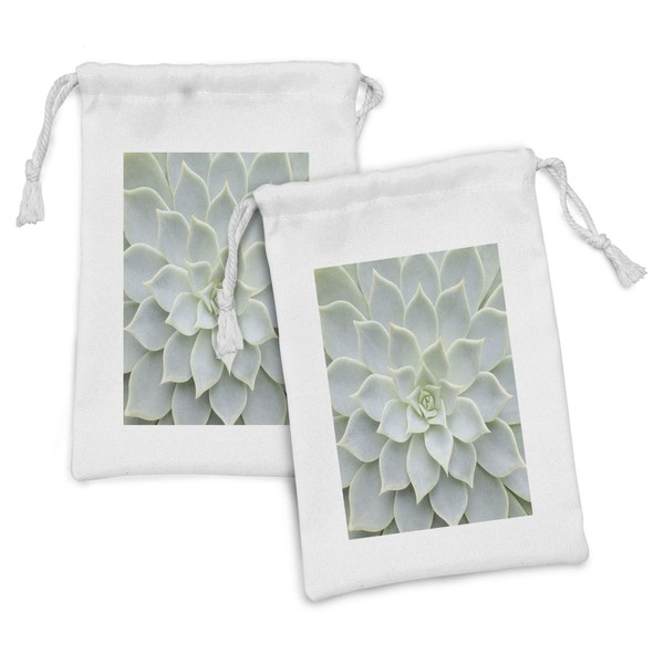 Ambesonne Cactus Fabric Pouch Set of 2, Cactus Plant Flower