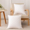 Oubonun 22x22 Throw Pillows Inserts, 2 Pack Square Decorative Pillows