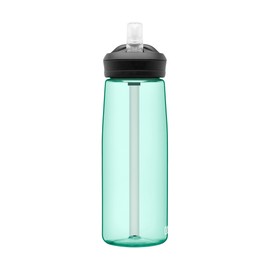 CamelBak Eddy+ Bite Valve Straw Tritan Renew Water Bottle Mint, 25oz