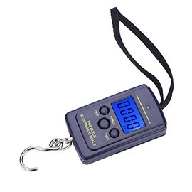 Alomejor Electronic Fishing Scale Digit Portable 40kg Balance Hanging Luggage Multi Function for Fishing Retail Delivery