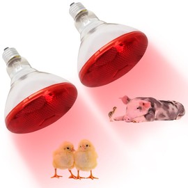 Lucky Farm Heat Lamp Infrared Bulbs 2pcs 250W for Chicken Coop Brooder Baby Chicks Puppies Kittens