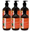 Natural Solution Hand Wash - Moisturizing Blood Orange & Himalayan
