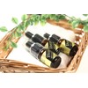 Licorice Extract Solution Natural Plant Extract, Item Solution, G・L, Sunburn,