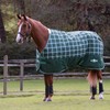 Saxon Defiant 1200D Standard Neck Medium Horse Blanket, Hunter Green/Plaid,