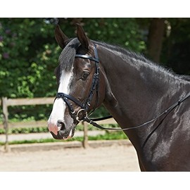 Easy Snaffle for Warmblood High Quality Plastic with Polyester Insert English Combined