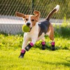 Dog Cat Boots Shoes Socks with Adjustable Waterproof Breathable and