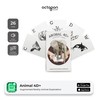 Cars & Animals Adventure Pack - Fun Interactive AR Flashcards