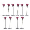 10Pcs Tabletop Planter Fashionable Air Plant Stand Holder Container Display