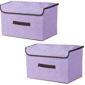 NCRGB Pack of 2 Fabric Foldable Storage Boxes with Lid, 36 x 23 x 24 cm, Fabric Storage Container with Lid, Wardrobe Organiser for Clothes Storage, Room Organisation, Purple