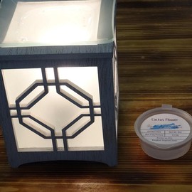 Scented Gel Wax Melts. Won't splash when bumped or knocked over and easy to peel out when you want to change the scent. Many different scents to choose from. - Scent: Cactus Flower