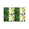 Happy Bath Dubore Lily Moisturizing Bar (4-pack) / 두보레 백합 모이스춰라이징바 4입