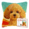 DIY Latch Hook Pillow Kits for Adults Cartoon Cute Poodle