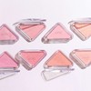 Clio 에센셜 블러쉬 탭 Essential Blush Tab