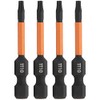 TORX T10 Tamper Proof Security Bits - Railer 2 Inch,