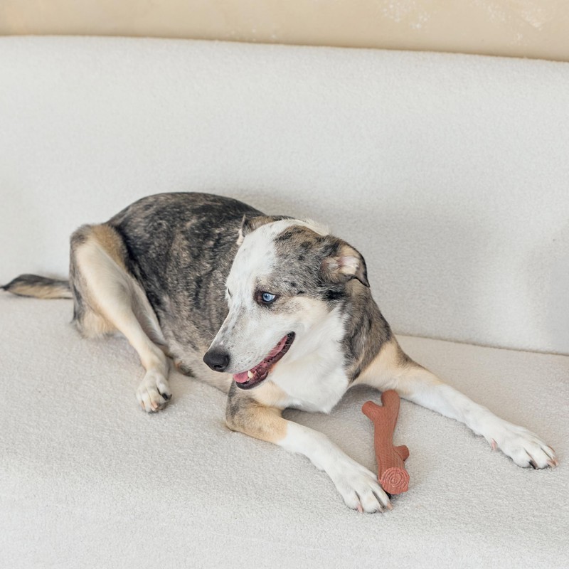 SPOT Bam-Bones Plus Branch -Bamboo Fiber & Nylon, Durable Long