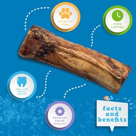 Jack&Pup Marrow Bones for Dogs | 6 Inch Dog Bones for Aggressive Chewers (2 Pack) | Single Ingredient Bone Marrow Dog Bones, All Natural Dog Chew Bones