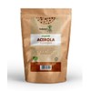 Natures Root Organic Raw Acerola Powder 250g - Vitamin C