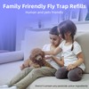 Kiwinurse Indoor Fly Trap Refill Glue Cards for UVLA1001 Indoor