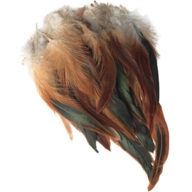 LUORNG 50PCS Natural Rooster Tail Feathers DIY Accessories Feathers for Hat Clothing Decoration Used for Headpieces Lapel Flowers Hats Shoes Crafts Length Approx Black Green