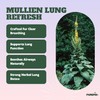 Mullein Pix, Extra Thick Boosting Flavored Toothpicks with Mullein Leaf