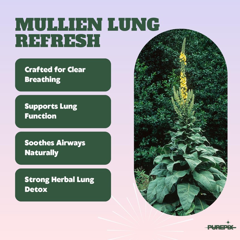 Mullein Pix, Extra Thick Boosting Flavored Toothpicks with Mullein Leaf