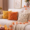 Pumpkin Throw Pillow Cover, Ultra Soft Heavyweight Halloween Thanksgiving Decorative