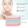 EZBASICS Facial Steamer Ionic Face Steamer for Home Facial, Warm