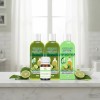 2 Shampoos De Bergamota 1 Acondicionador 1 Aceite Organicos