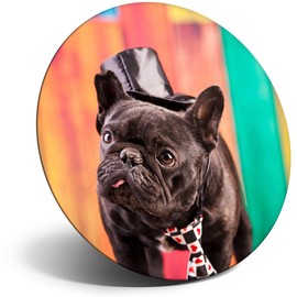 Destination Vinyl ltd Magnet for Refrigerator, Fridge - Adorable French Bulldog Animals Cute for Office, Cabinet and Whiteboard, Magnetic Stickers, 8495