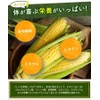 Tea no Daifukuen Corn Tea Bag, Corn Tea, Decaffeinated Tea,