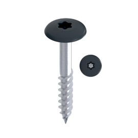 TOX Colr 113087415525/AG Facade Screws 5.5 x 25 mm, Screws for Facade Panels Made of A4 Stainless Steel with Coloured Flat Head, Corrosion and UV Resistant, Pack of 100 in Box Includes 1x Bit