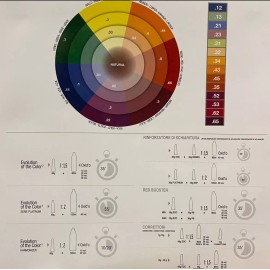 Alfaparf Evolution Of The Color Gama De Color Tintes Mechas