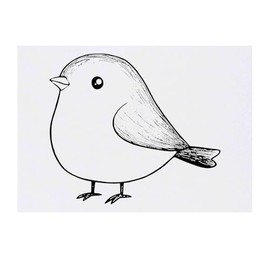 'Cute Fat Bird' Temporary Tattoo - Water Resistant, Skin-Safe, Non-Toxic Transfer (TO00082175)