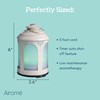 Airome Chelsea Medium Cut-Metal Essential Oil Diffuser|100 mL Humidifying Ultrasonic