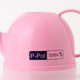 pi-potto PP – 10 