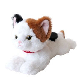 San Lemon Knee Cat SS Miket P-8052