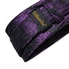 DiBanGu Silk Paisley Ties for Men Woven Necktie and Pocket
